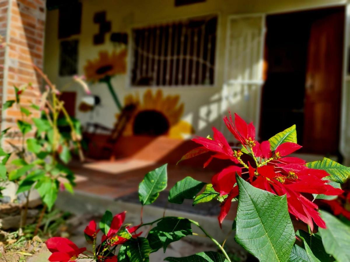 Estacion Biologica Aguali Hostel Matagalpa Exterior foto